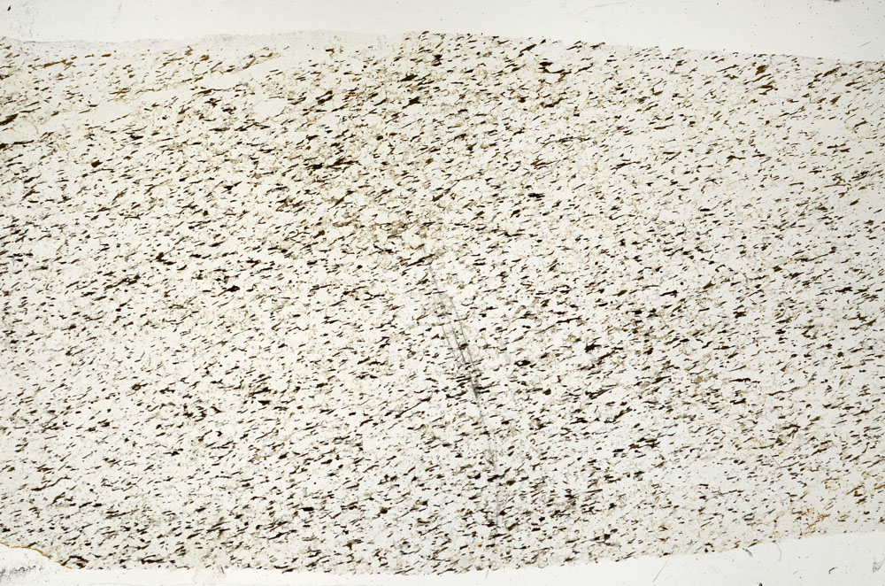 Plane Polarized, S88674