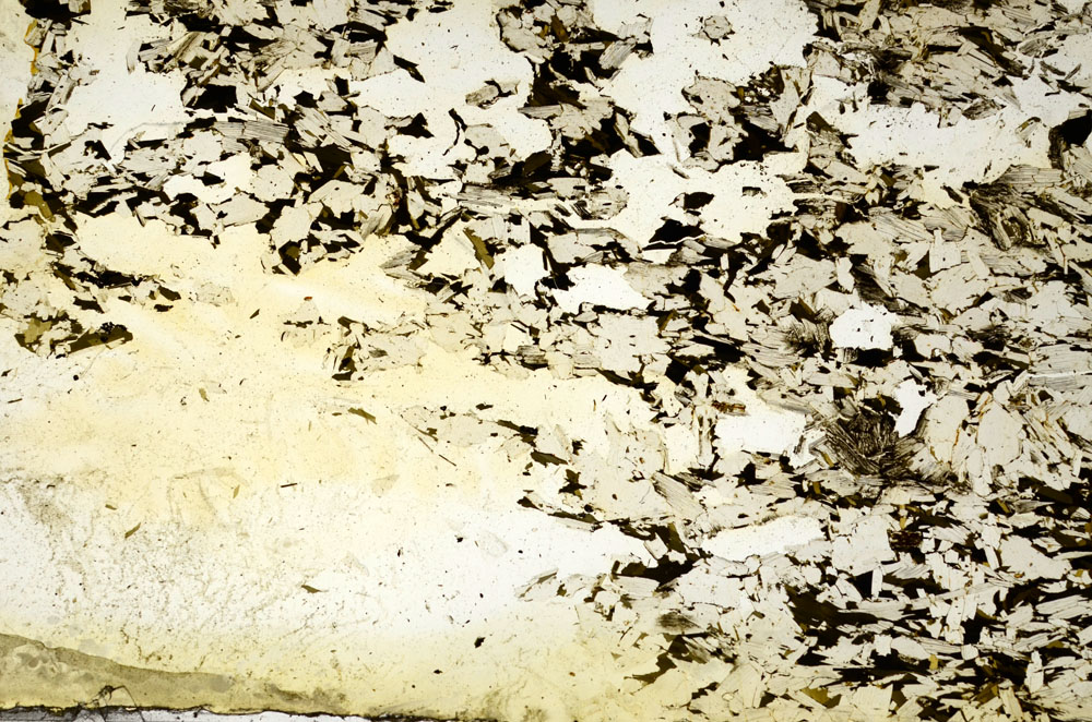 Plane Polarized, S88679