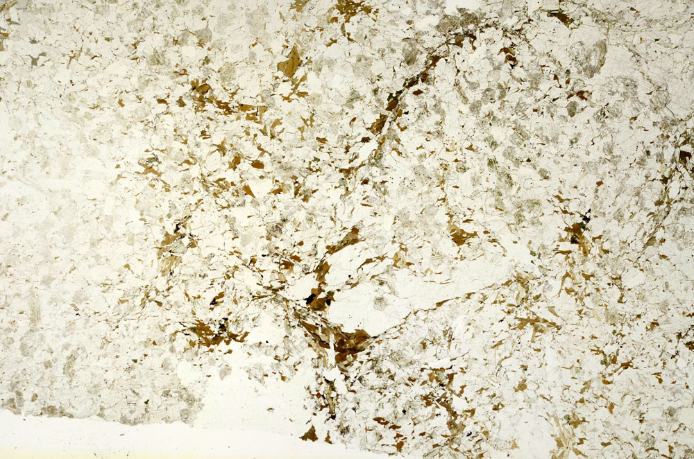 Plane Polarized, S88683