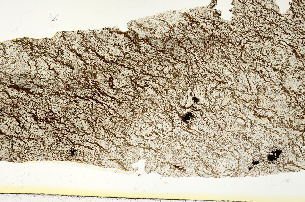Plane Polarized, S88685
