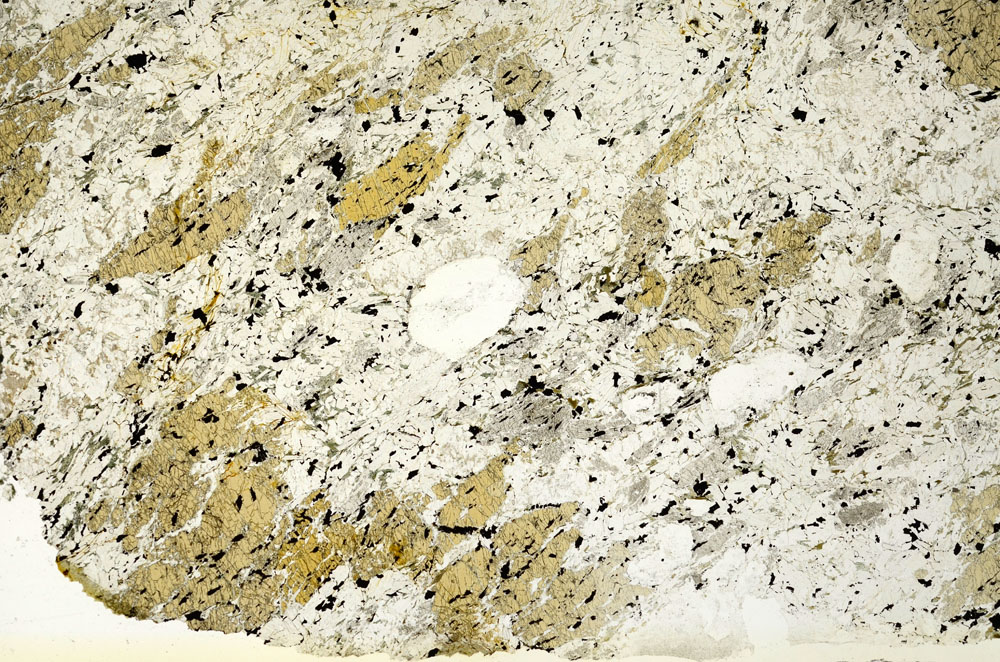 Plane Polarized, S88689