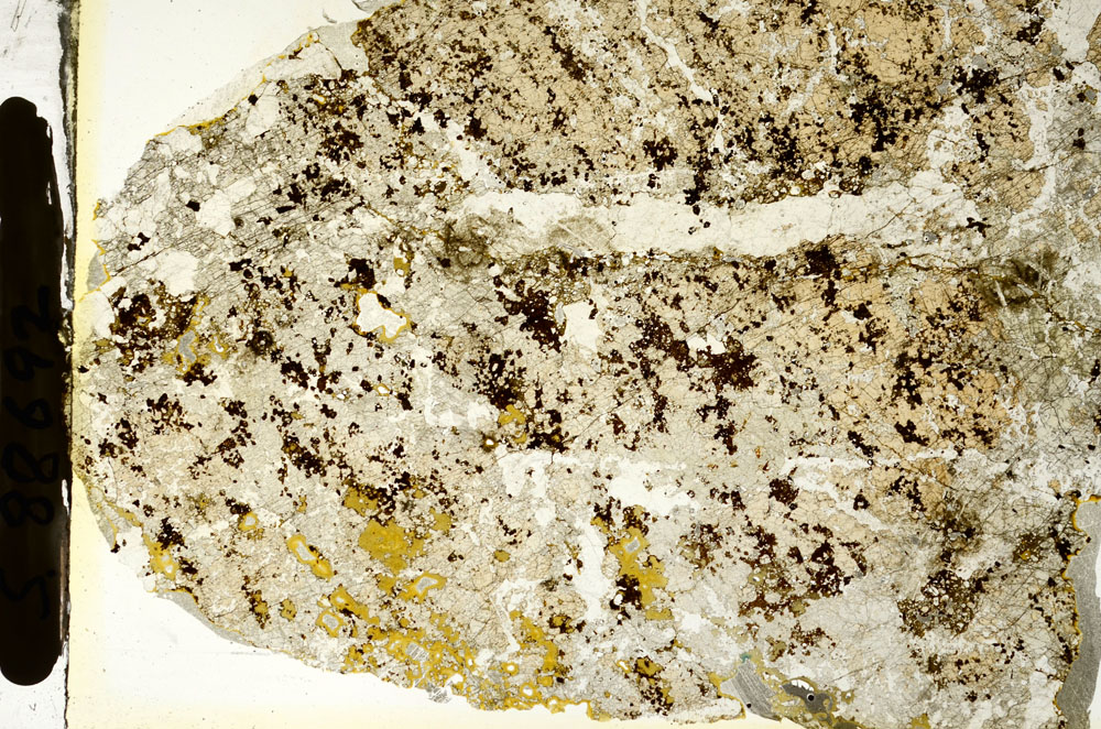 Plane Polarized, S88692
