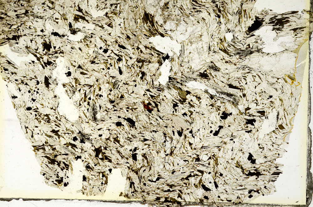 Plane Polarized, S88693