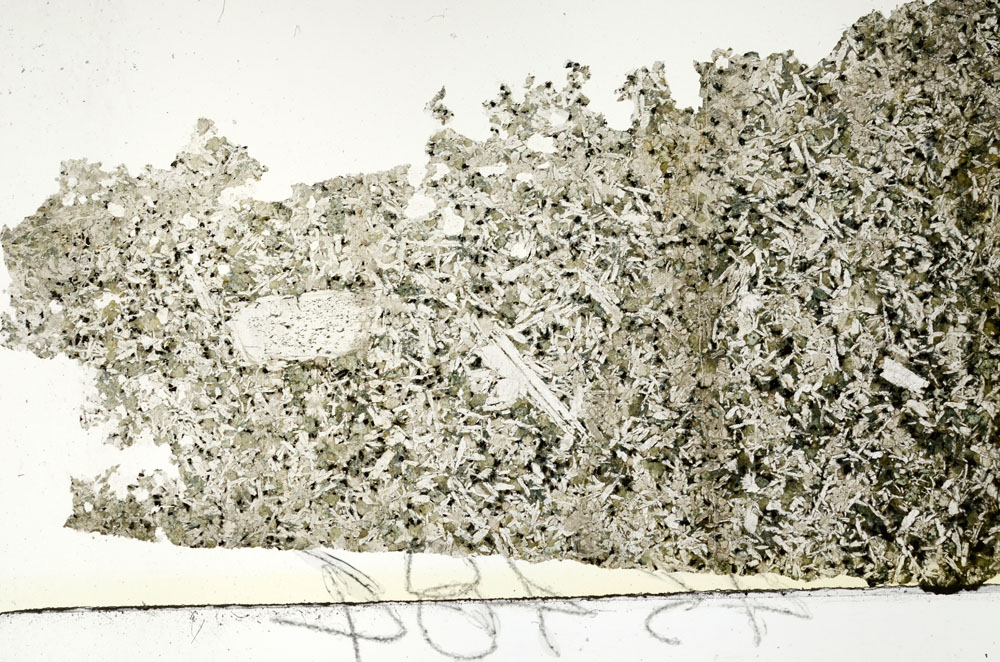 Plane Polarized, S88715