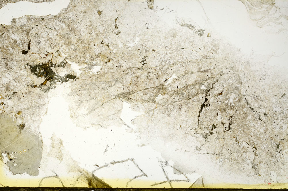 Plane Polarized, S88723