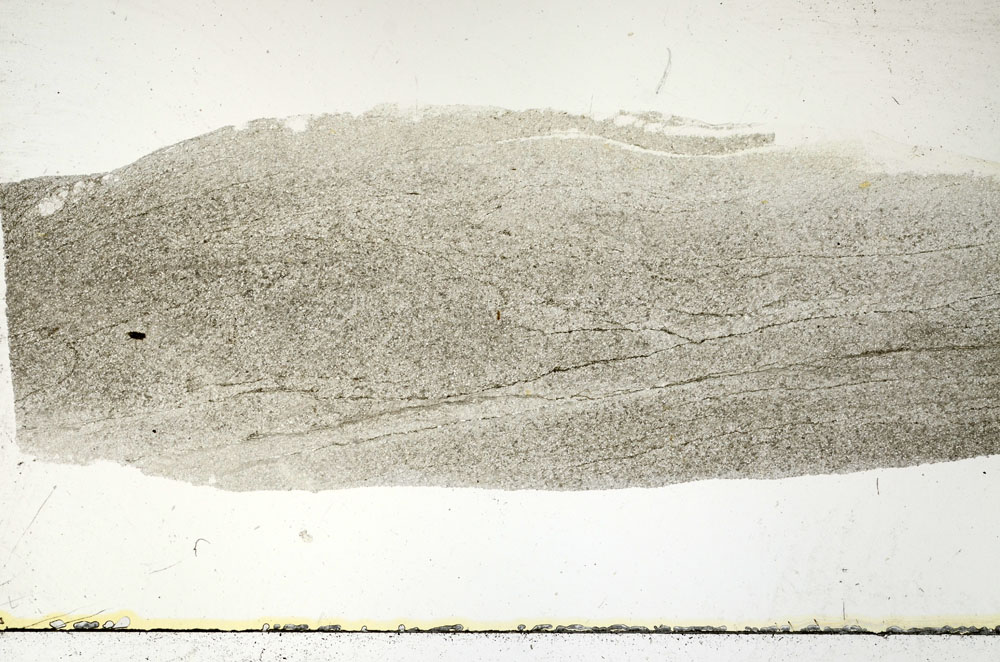 Plane Polarized, S88732