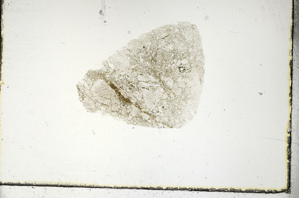 Plane Polarized, S88734