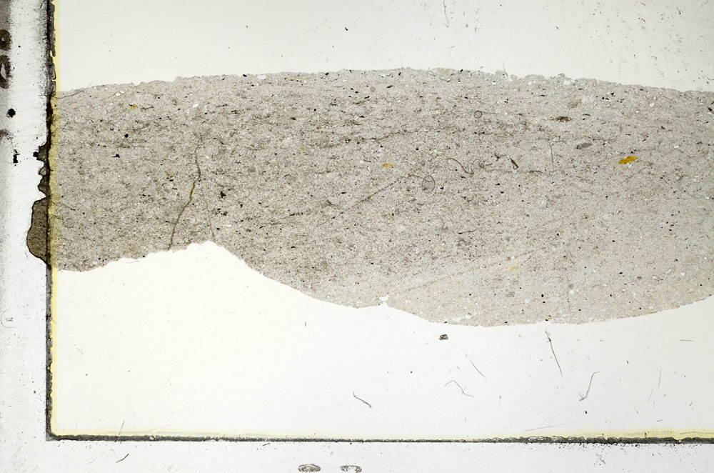 Plane Polarized, S88737