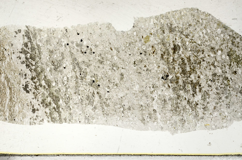Plane Polarized, S88739