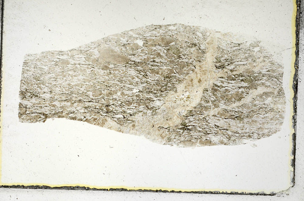 Plane Polarized, S88740