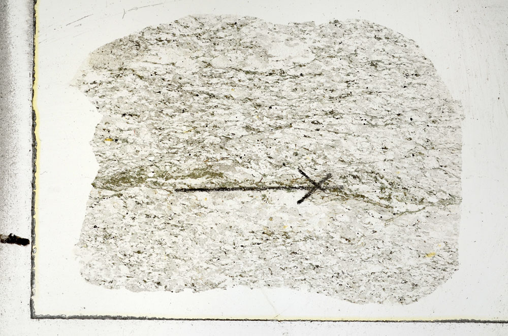 Plane Polarized, S88748
