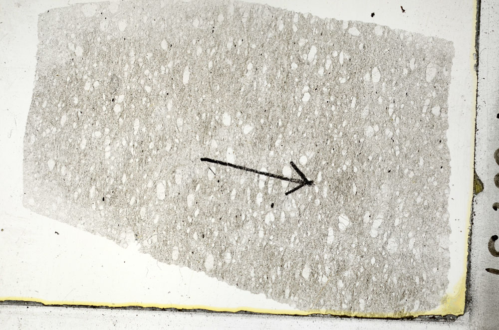 Plane Polarized, S88751