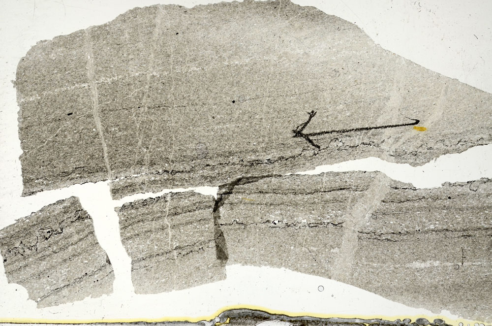 Plane Polarized, S88755