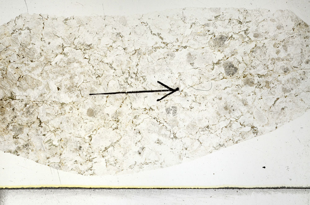 Plane Polarized, S88761