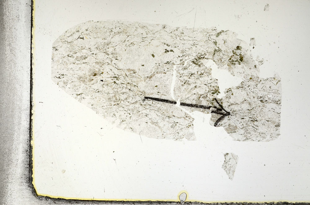 Plane Polarized, S88762