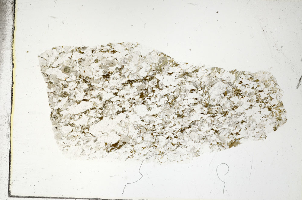Plane Polarized, S88770