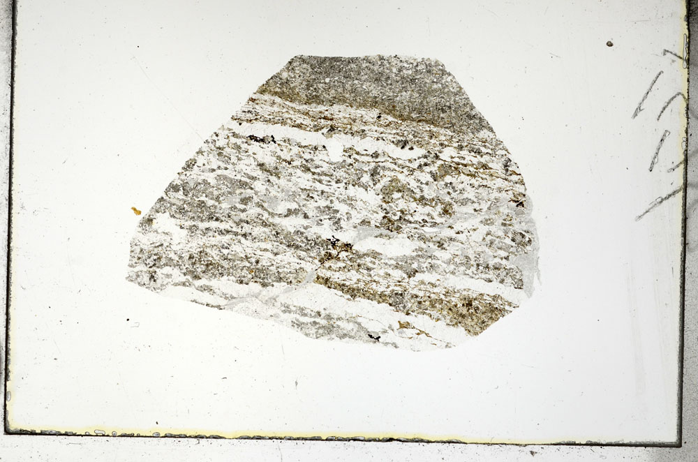 Plane Polarized, S88771
