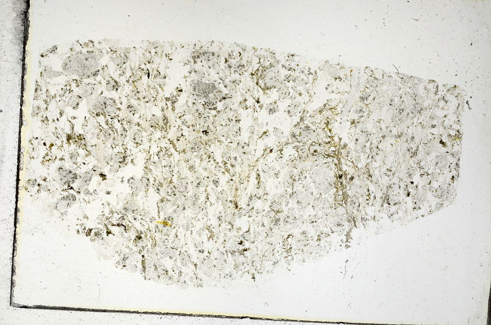 Plane Polarized, S88773