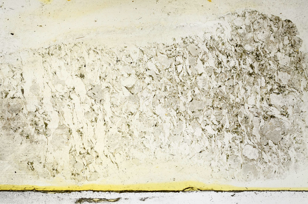 Plane Polarized, S88774