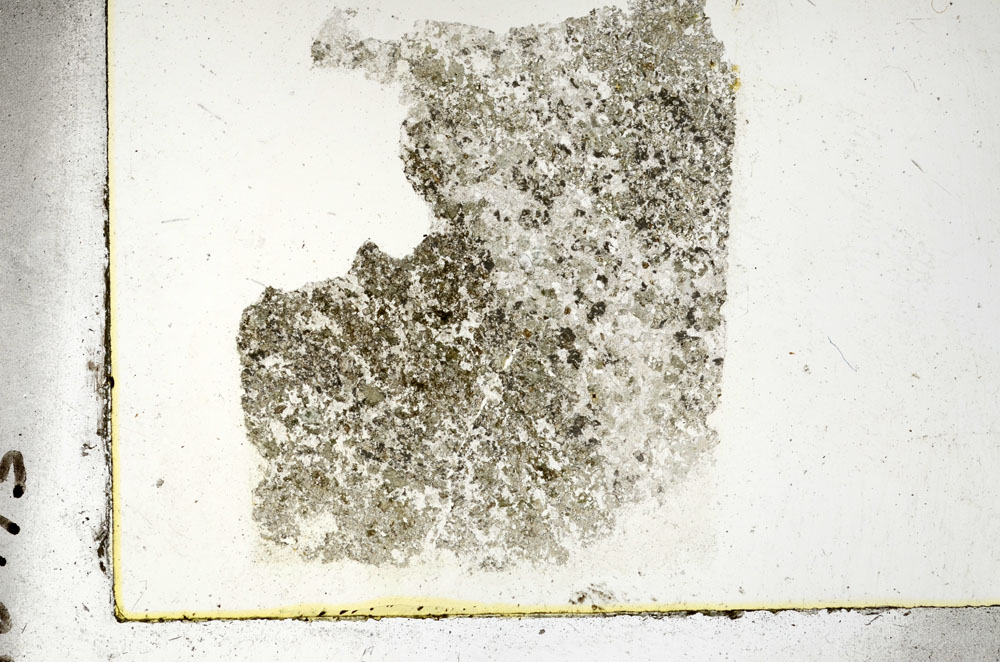 Plane Polarized, S88775