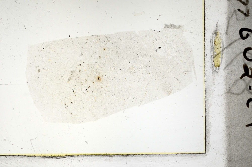 Plane Polarized, S88777