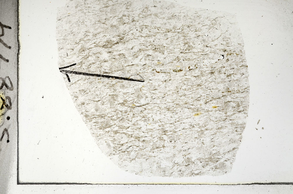 Plane Polarized, S88779
