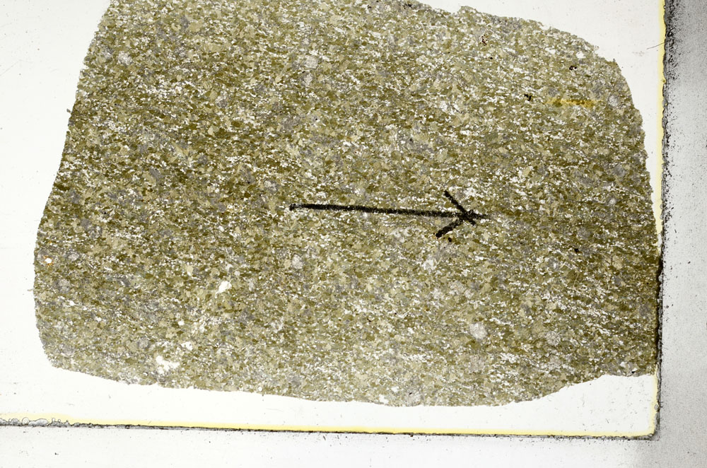 Plane Polarized, S88780