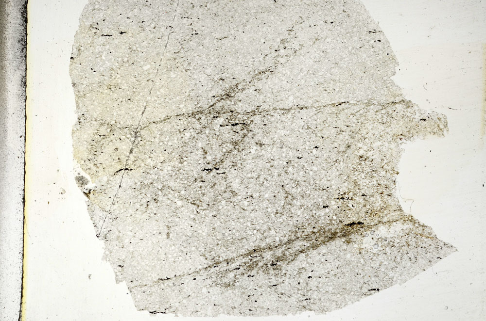 Plane Polarized, S88787