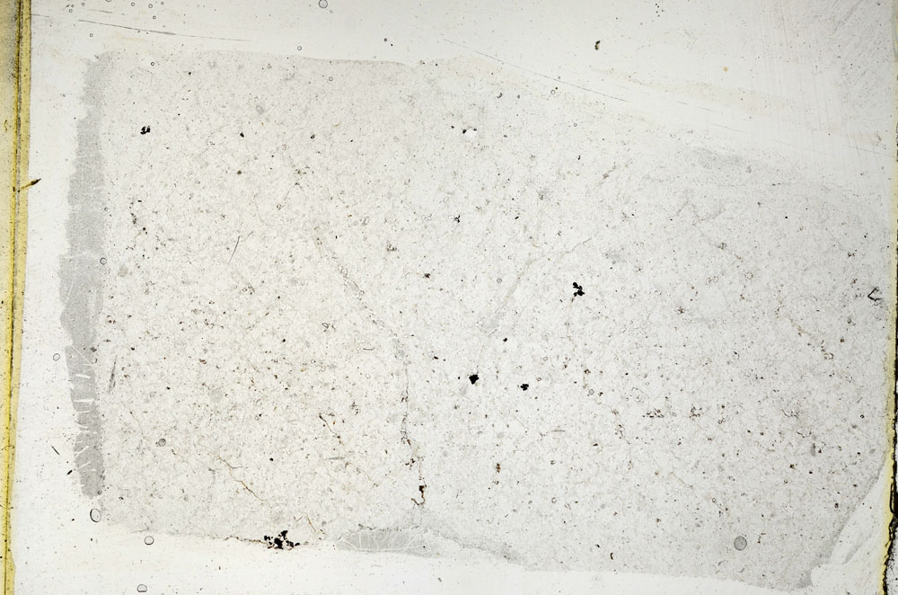 Plane Polarized, S88789