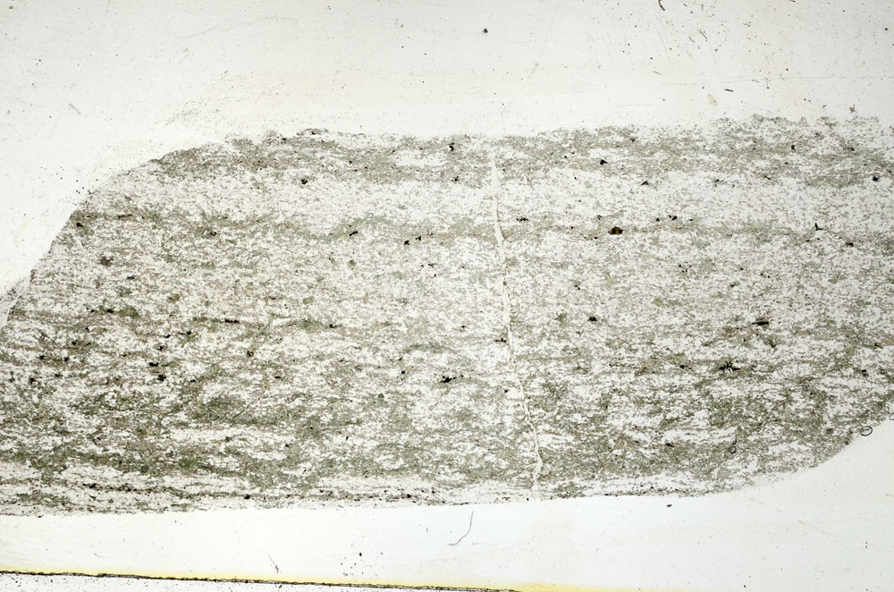 Plane Polarized, S88794