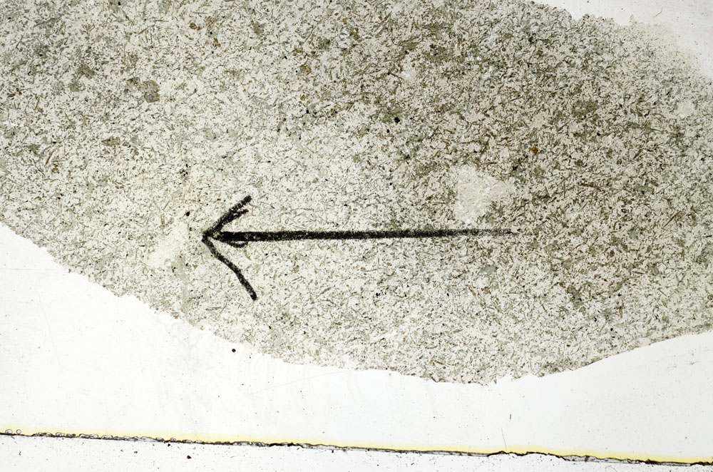 Plane Polarized, S88795