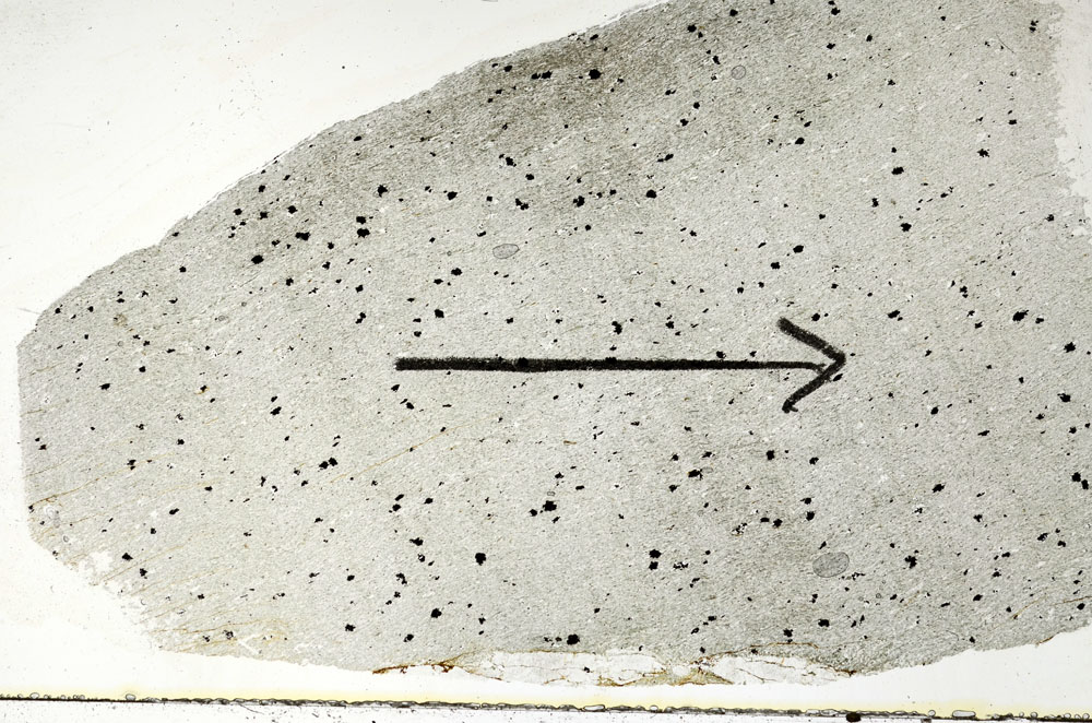 Plane Polarized, S88797