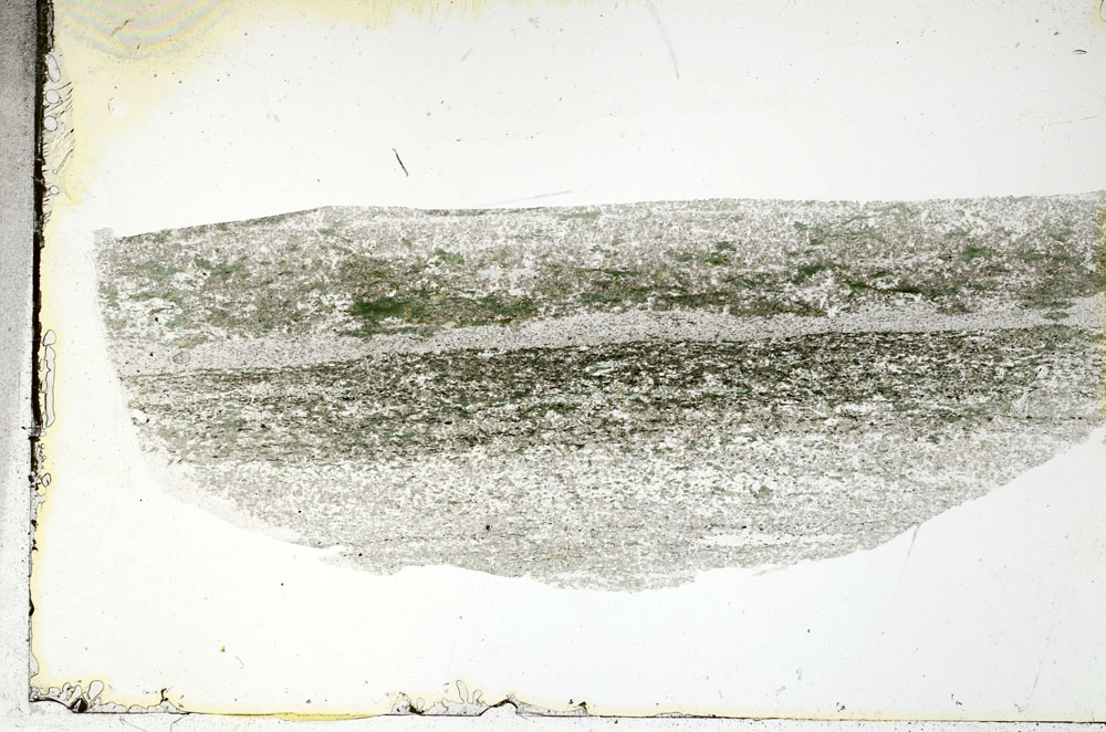 Plane Polarized, S88808