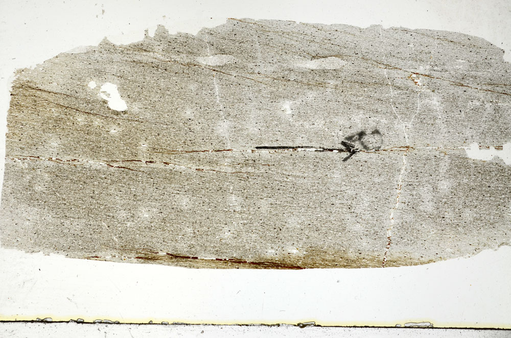 Plane Polarized, S88817