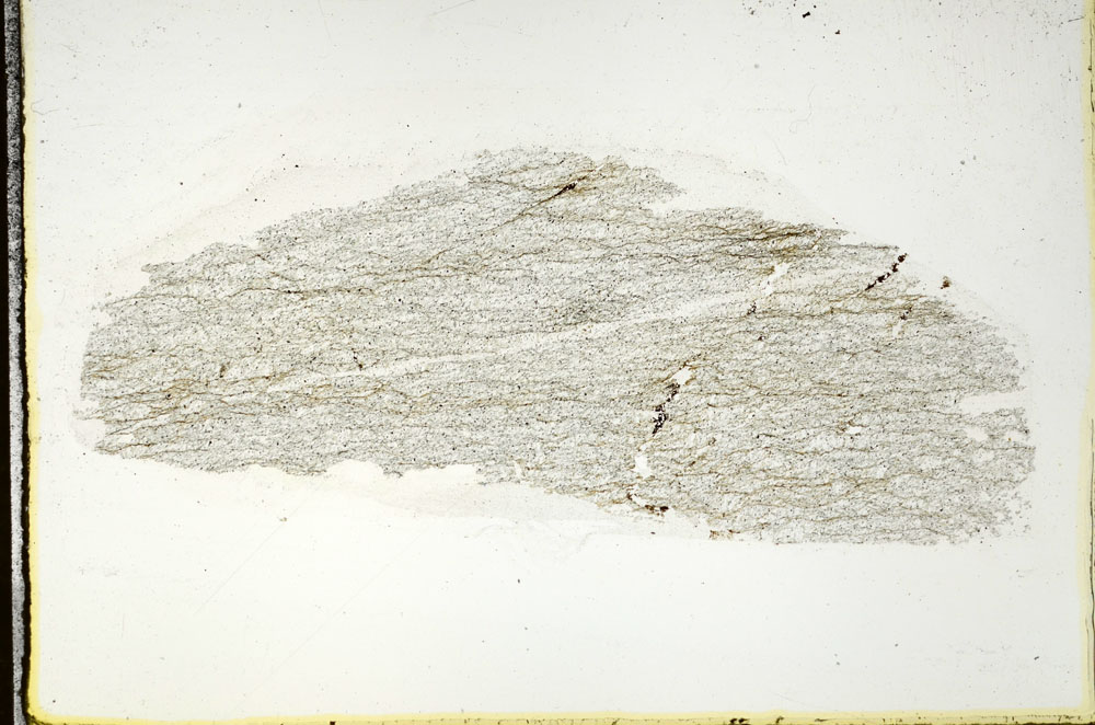 Plane Polarized, S88823