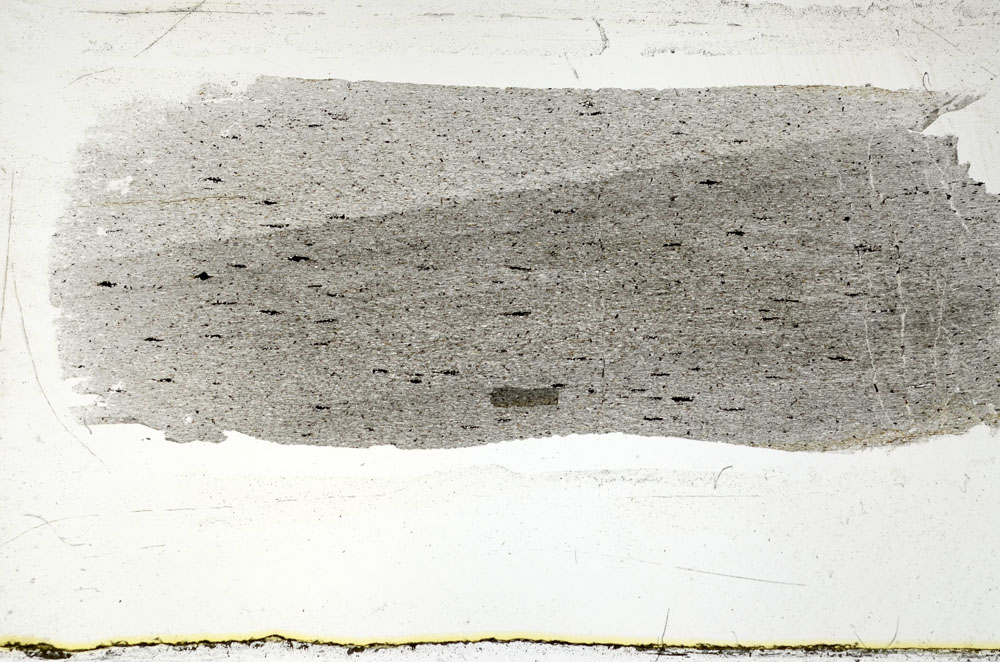 Plane Polarized, S88830