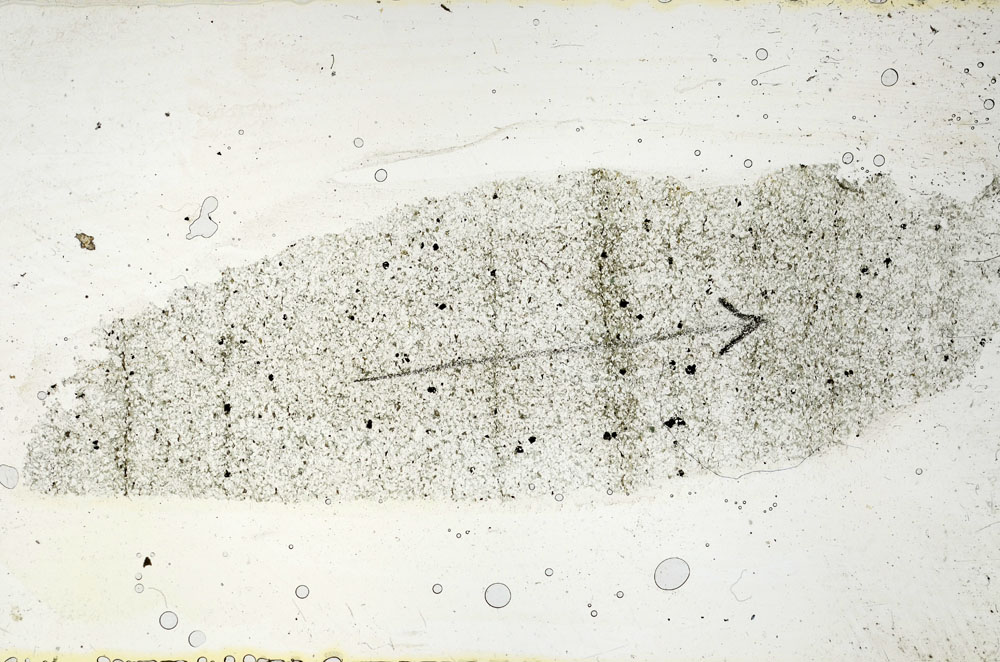 Plane Polarized, S88836