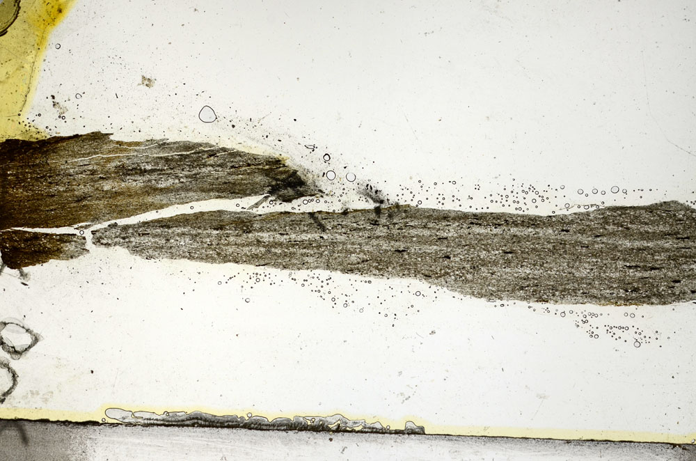 Plane Polarized, S88838