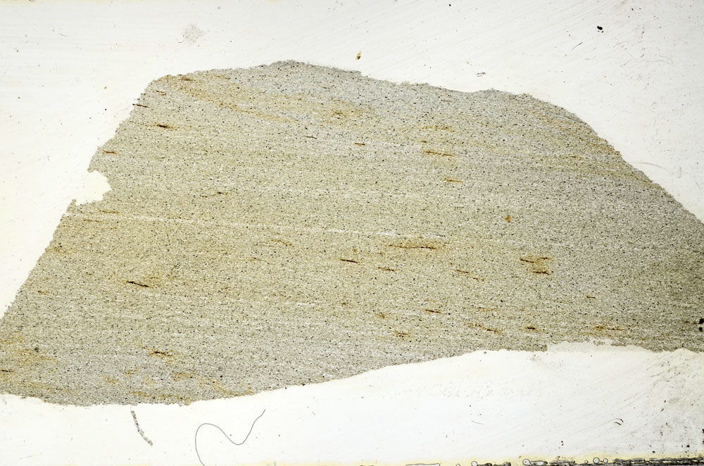 Plane Polarized, S88841