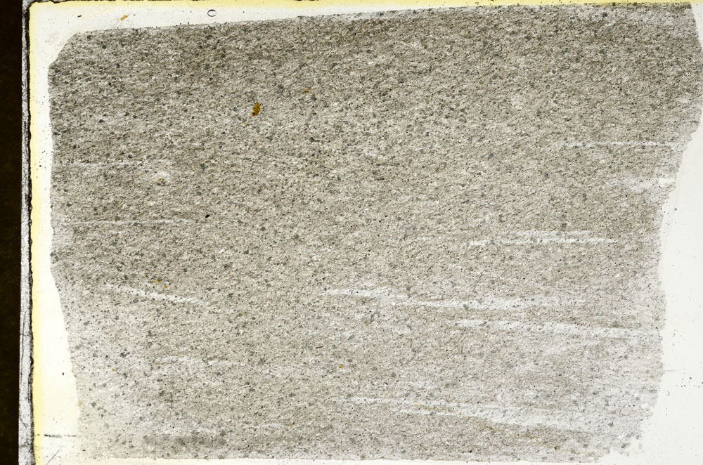 Plane Polarized, S88847