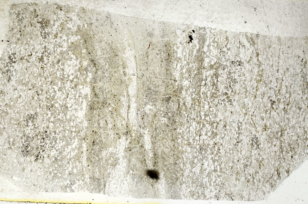 Plane Polarized, S88851