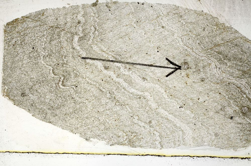 Plane Polarized, S88854