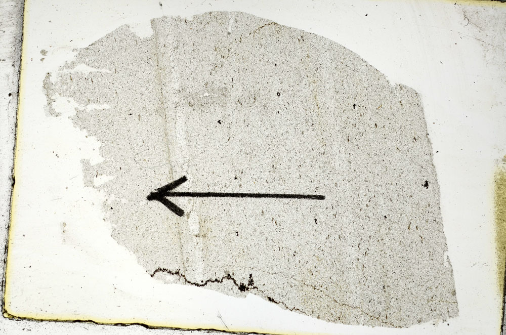 Plane Polarized, S88858