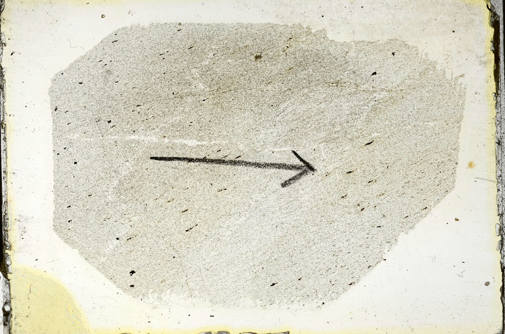 Plane Polarized, S88861