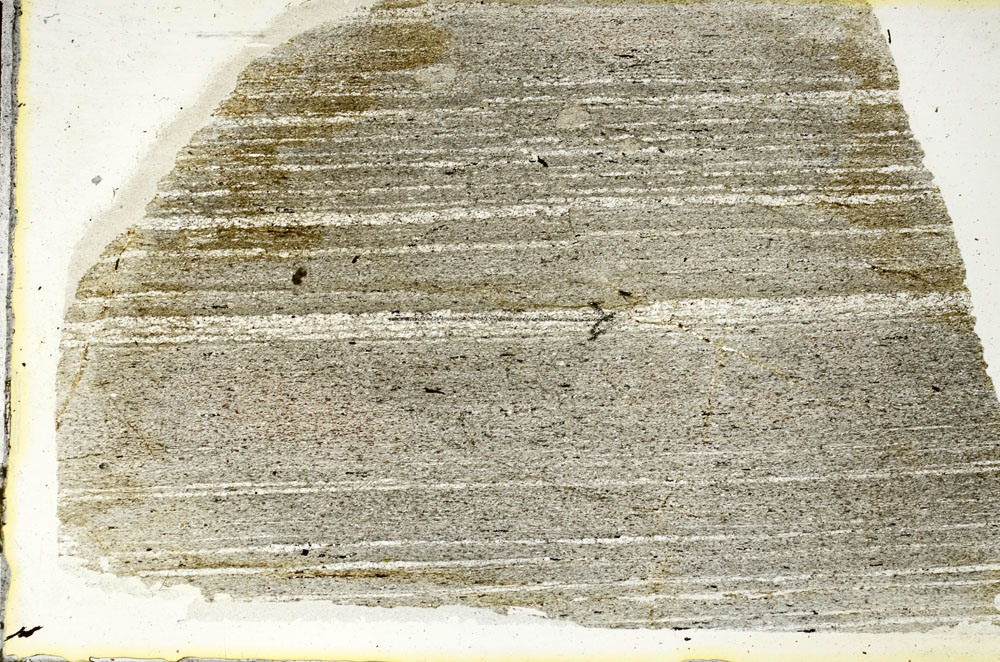 Plane Polarized, S88864