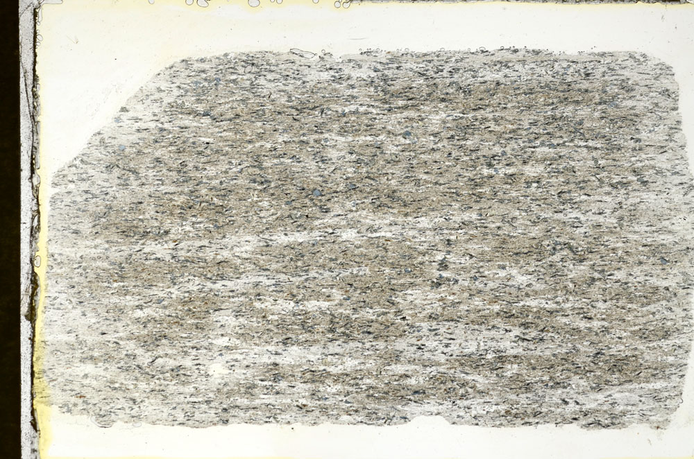 Plane Polarized, S88865
