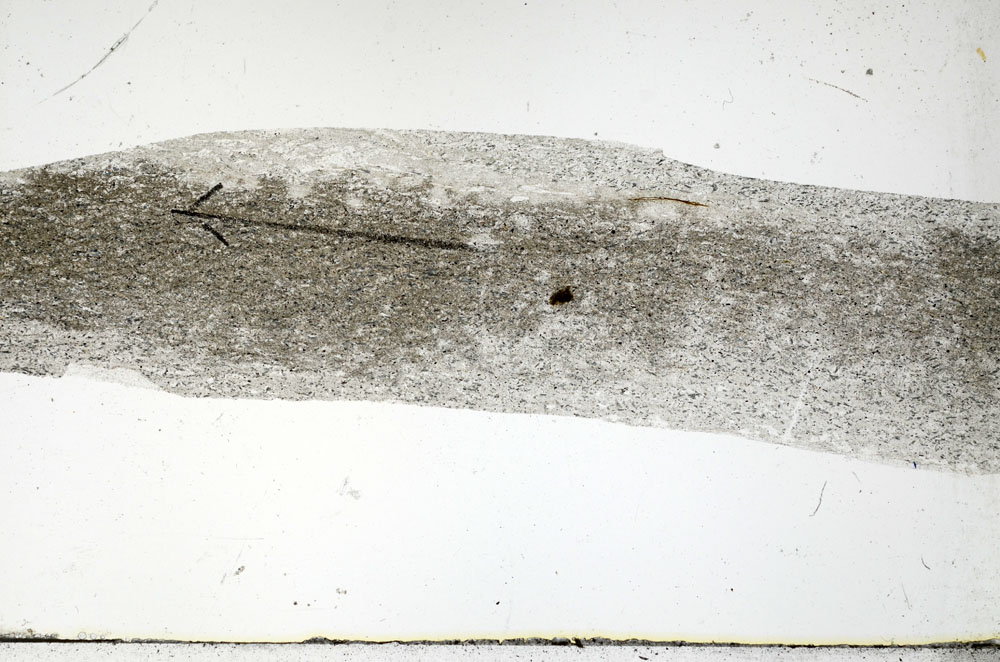 Plane Polarized, S88866
