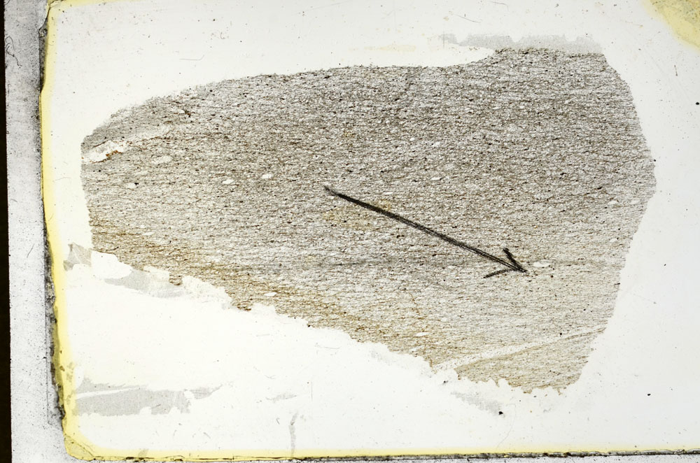 Plane Polarized, S88867