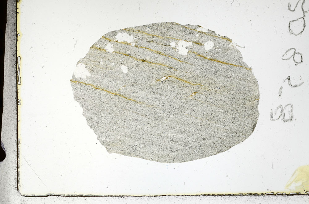 Plane Polarized, S88868