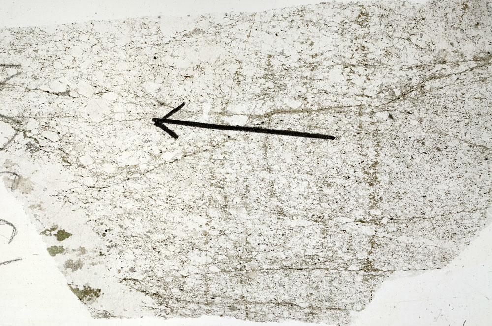 Plane Polarized, S88877